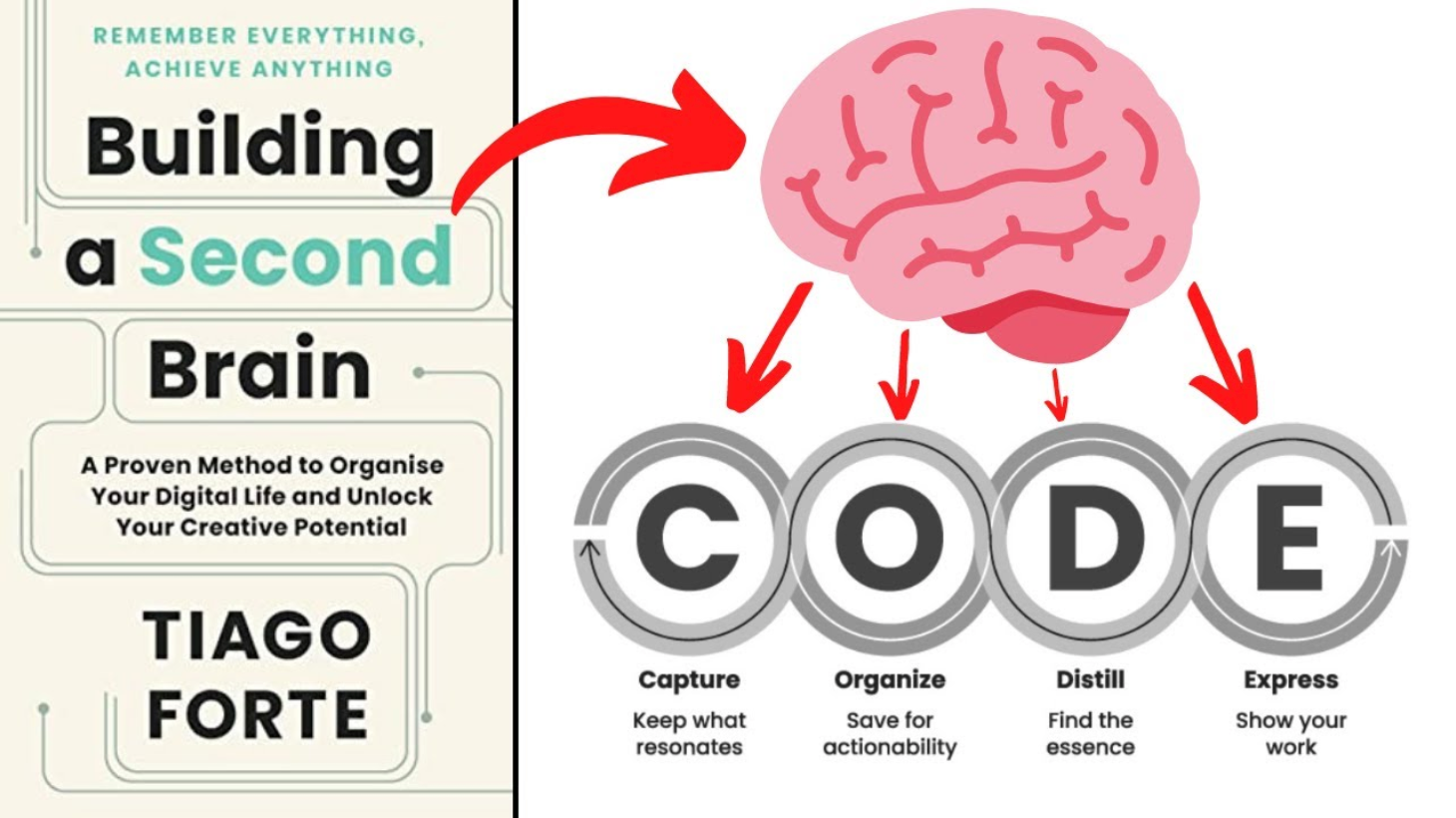 Code brains. Second Brain. Build a second Brain. Second Brain концепция. Тиаго форте second Brain.