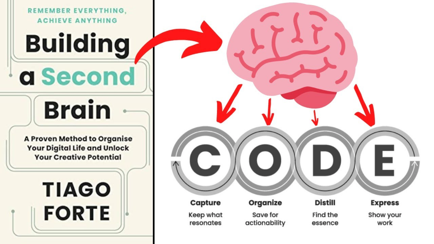 Brain building. Second Brain. Build a second Brain. Second Brain концепция. Тиаго форте second Brain.