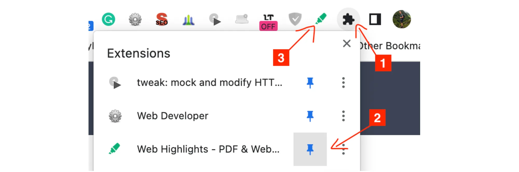 Pin the Web Highlights extension