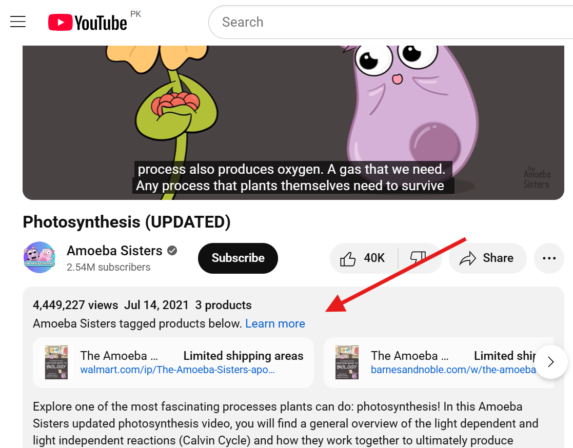 Video description that appears under your YouTube video.