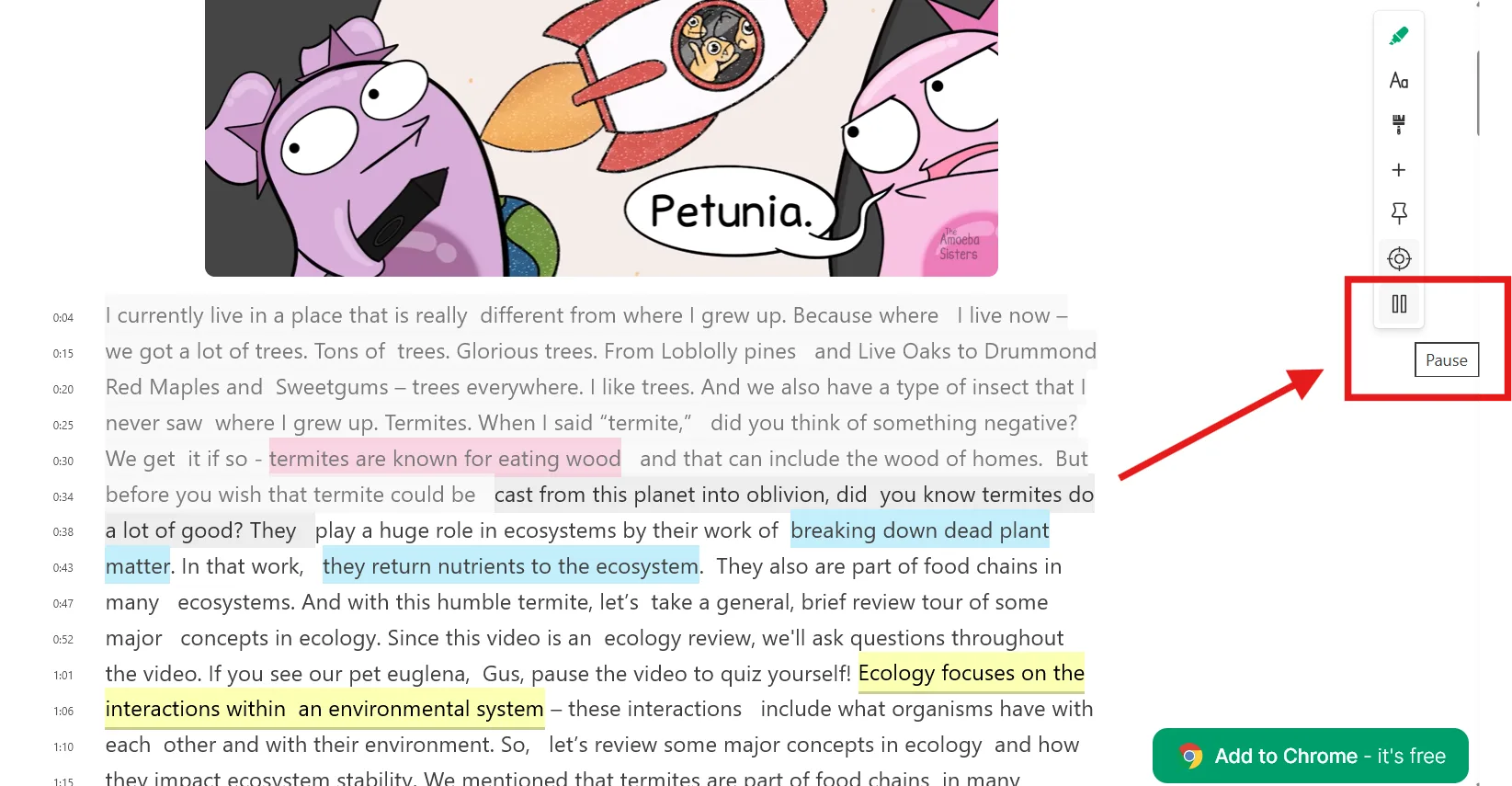 Video playback and auto-scroll as video plays feature in Web Highlights