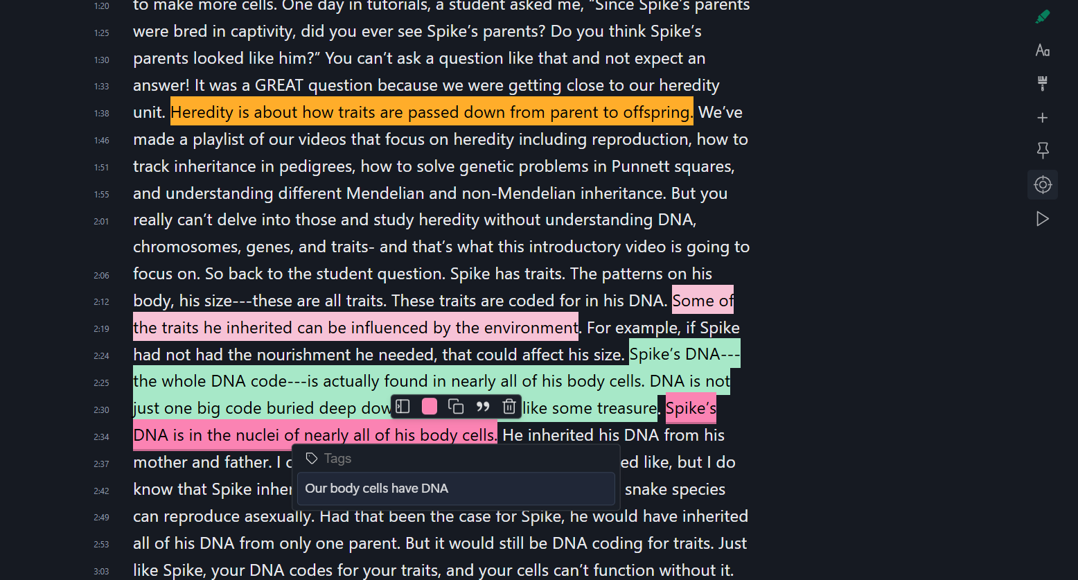 youtube-transcript-reader-with-highlights