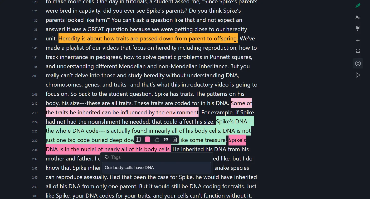 youtube-transcript-reader-with-highlights