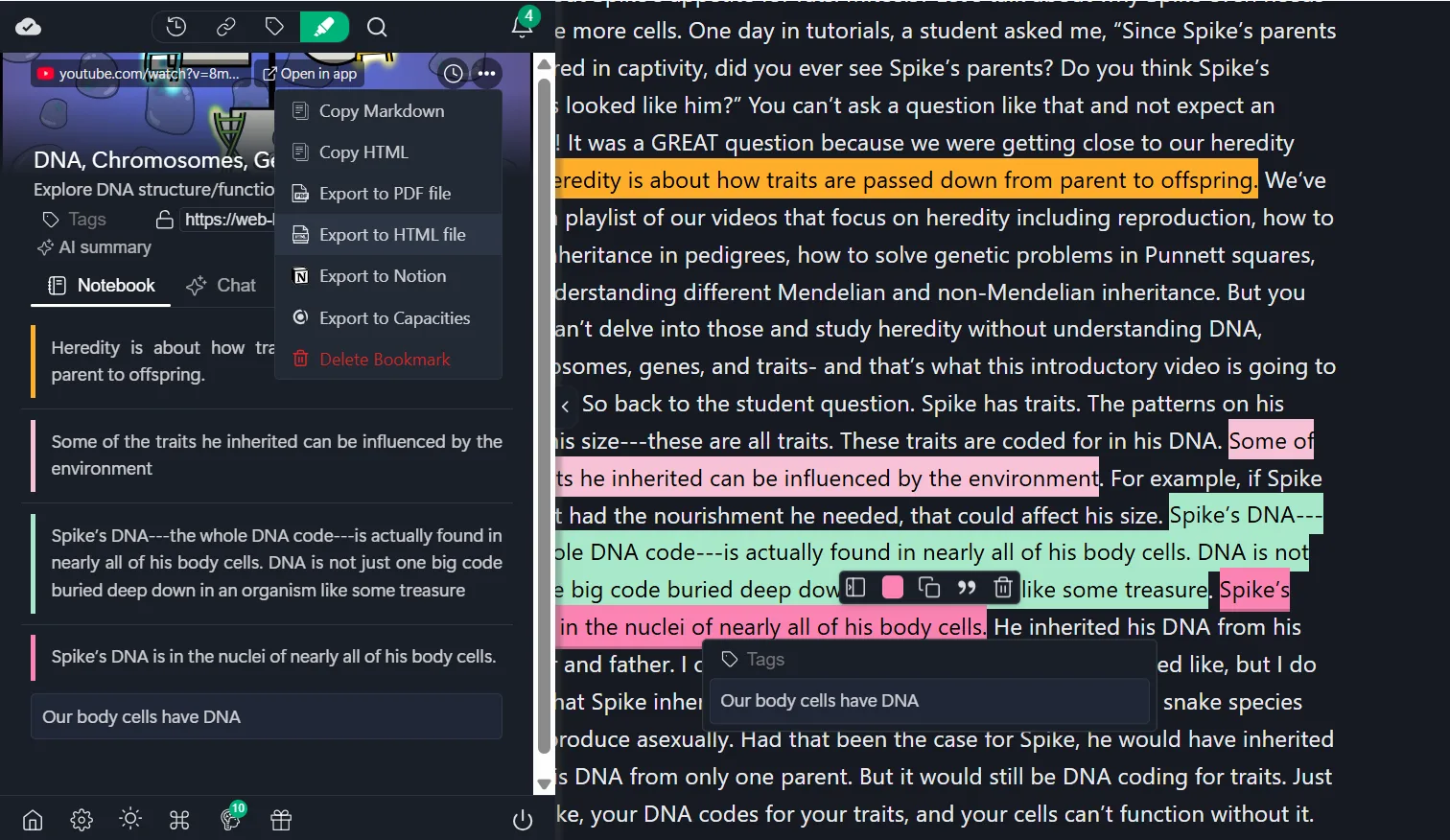 reader-mode-exports-for-study-packs