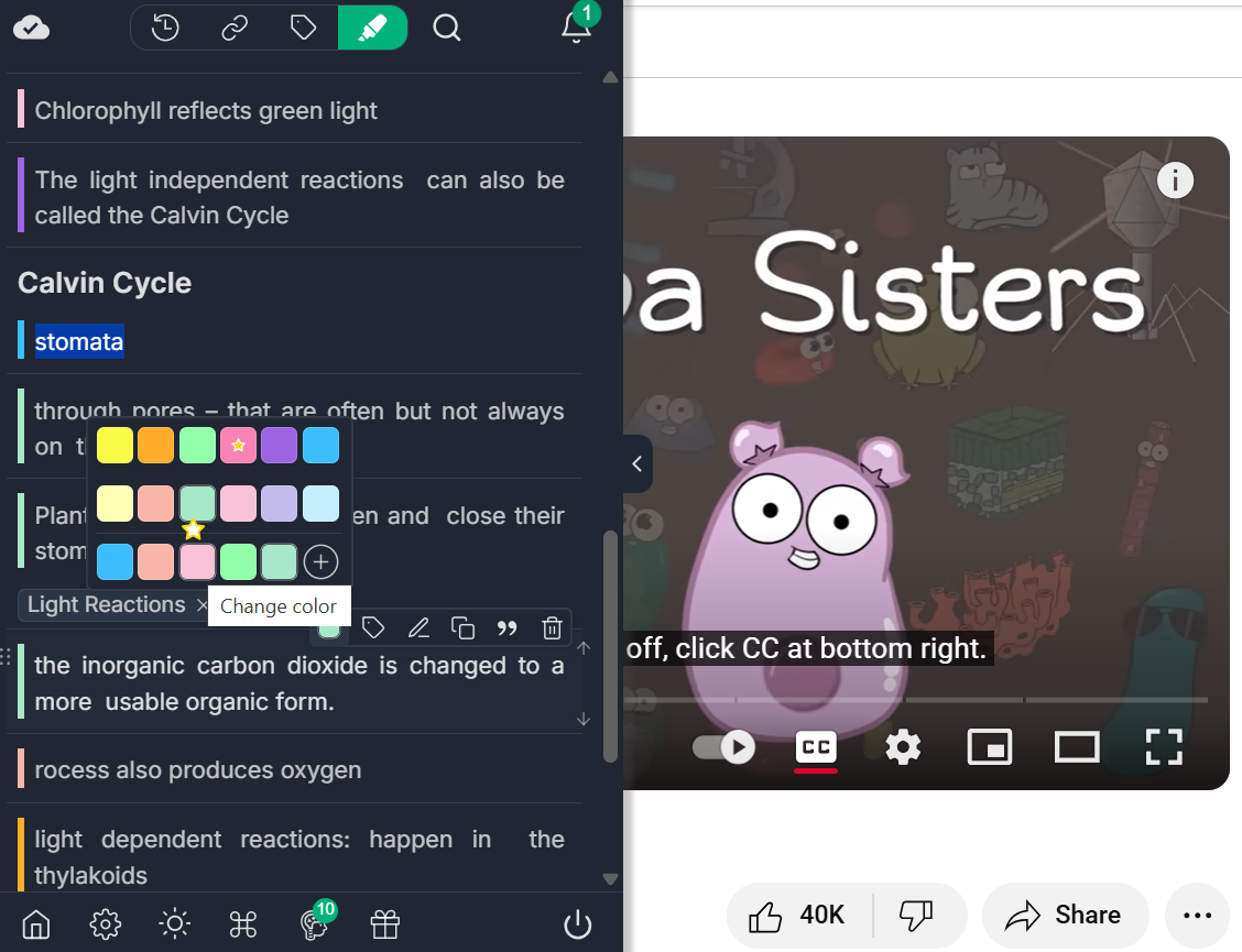 Color-coded highlights in Web Highlights, organizing annotations with different colors for better visual reference.
