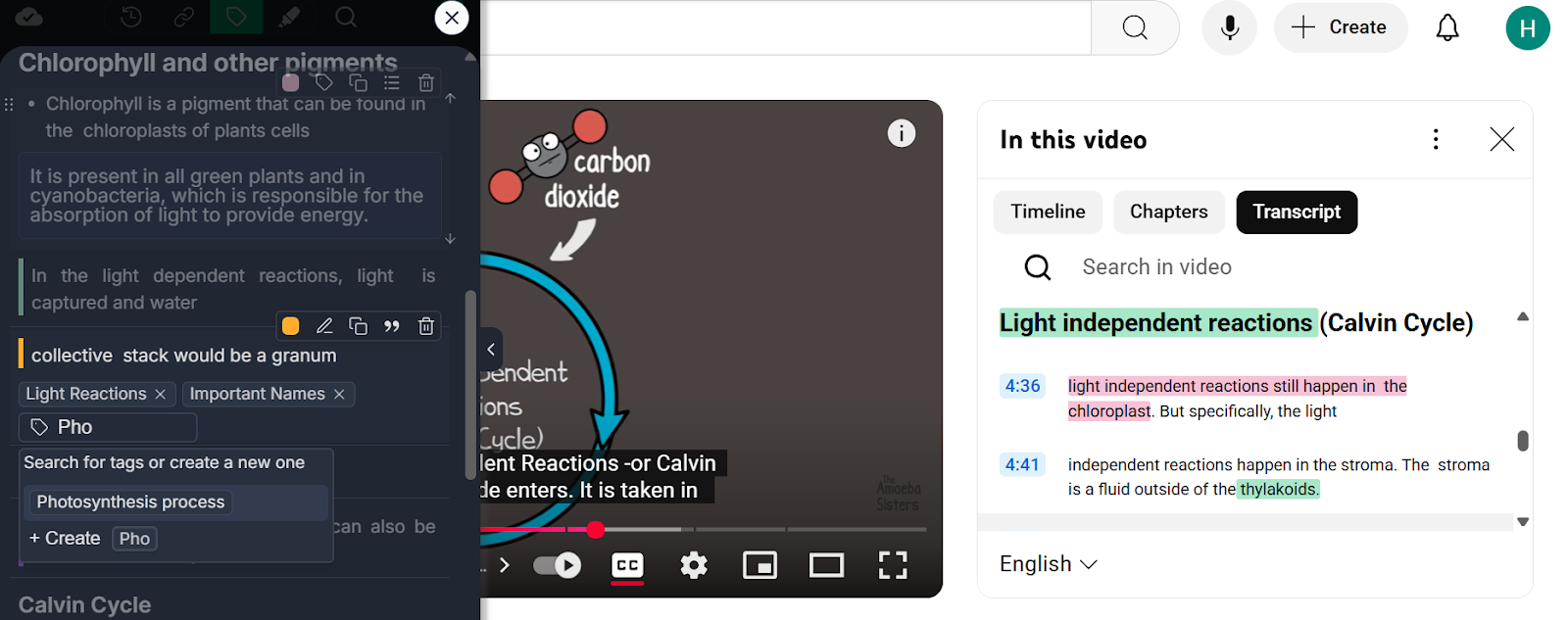 Different tags added to YouTube video highlights and notes in Web Highlights for better organization