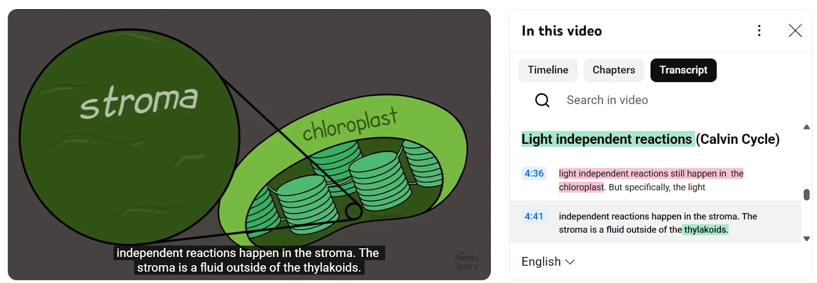 Highlights on a YouTube video transcript using Web Highlights, marking key moments for easy reference