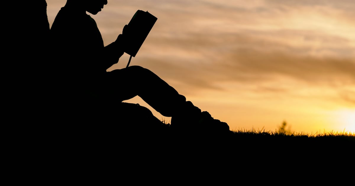 A silhouette of a child sitting under a tree, reading a book at sunset.