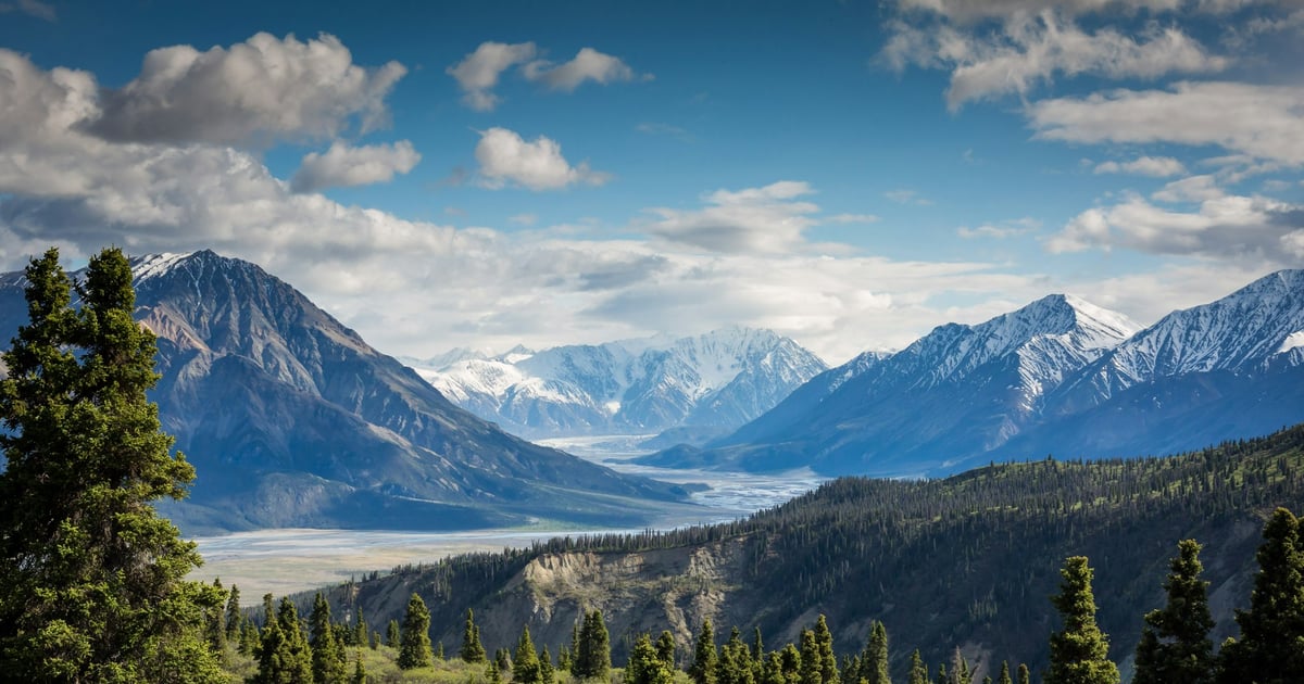 Forest in foreground, lake with mountains in background