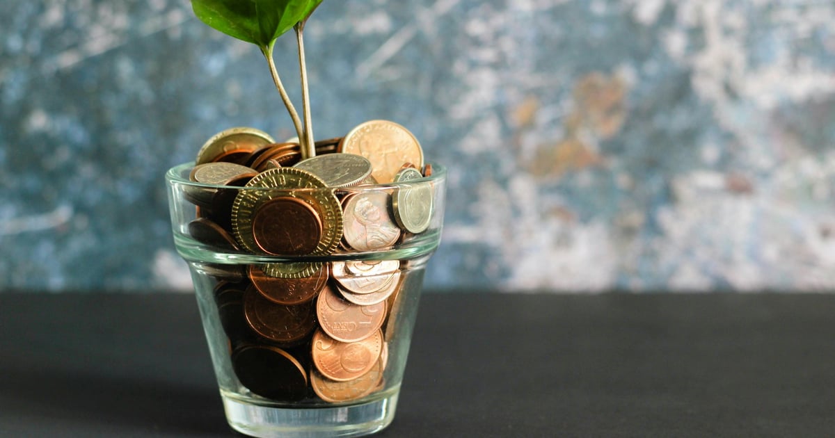 Glass of money with plant