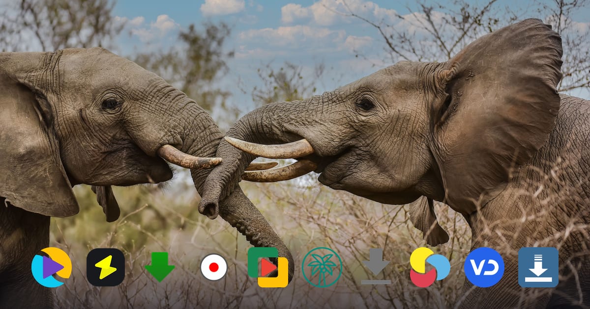 Top 10 Chrome Video Downloader Extensions