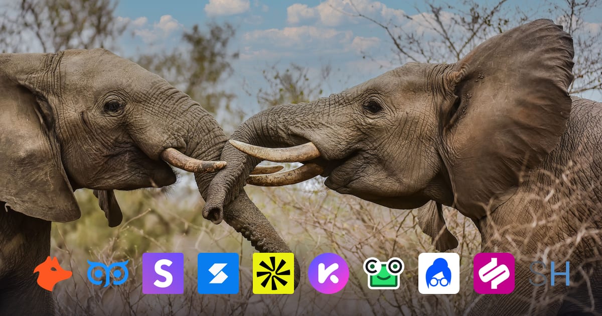 Logos of the ten Chrome email finder extensions over a photo of two elephants meeting trunk to trunk
