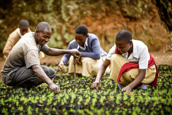 Mersey Forest twins with African initiative in drive to plant more trees locally and globally