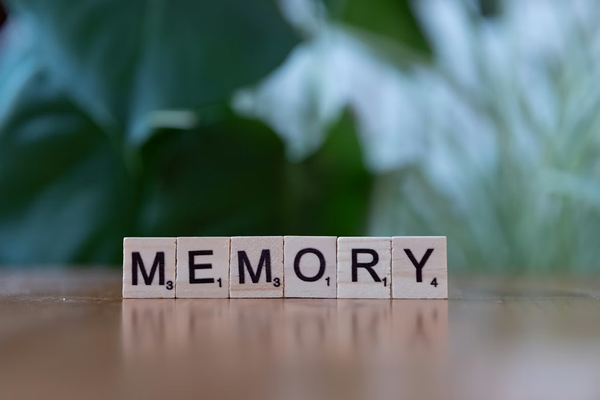 Why Memory, Retention & Recall Matter in Online Learning
